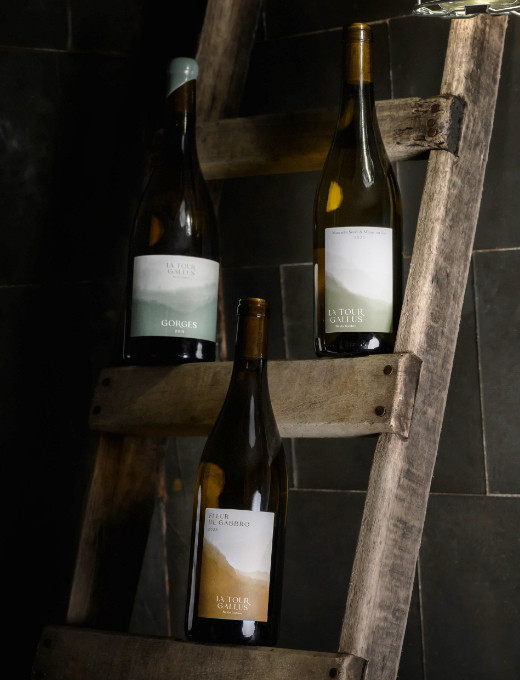 Wines collection