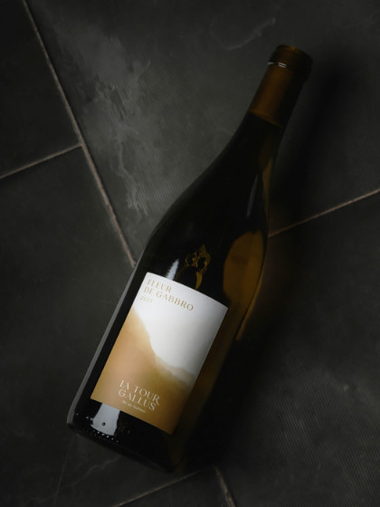 Fleur de Gabbro 2023 wine details