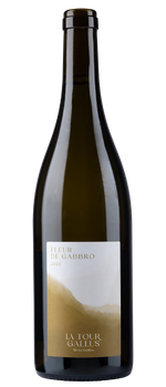 Wine bottle : Fleur de Gabbro 2023